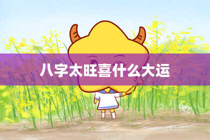 八字太旺喜什么大运