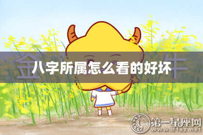 八字所属怎么看的好坏