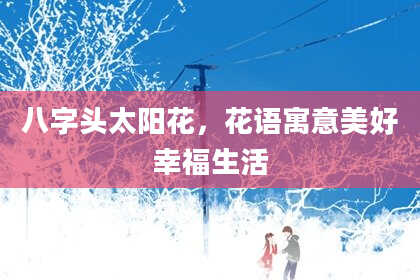 八字头太阳花，花语寓意美好幸福生活