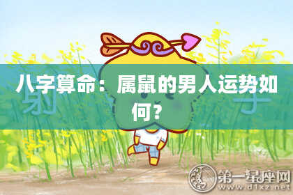 八字算命：属鼠的男人运势如何？