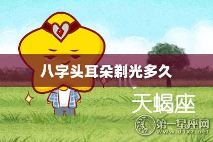 八字头耳朵剃光多久