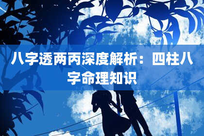 八字透两丙深度解析：四柱八字命理知识