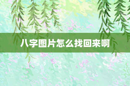 八字图片怎么找回来啊