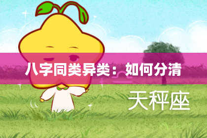 八字同类异类：如何分清
