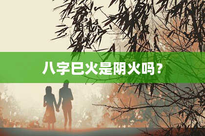 八字巳火是阴火吗？