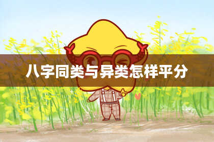 八字同类与异类怎样平分