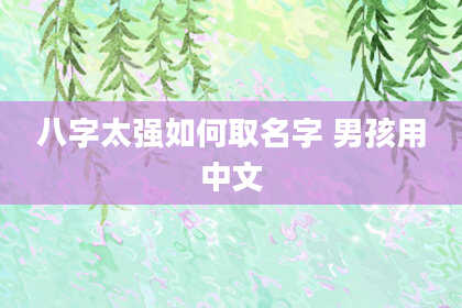 八字太强如何取名字 男孩用中文