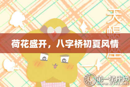 荷花盛开,八字桥初夏风情