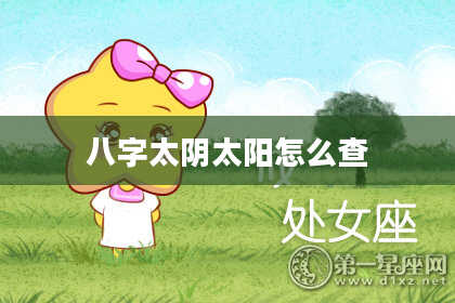 八字太阴太阳怎么查