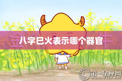 八字巳火表示哪个器官