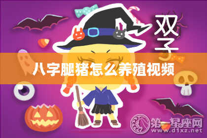 八字腿猪怎么养殖视频