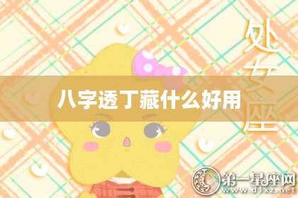 八字透丁藏什么好用