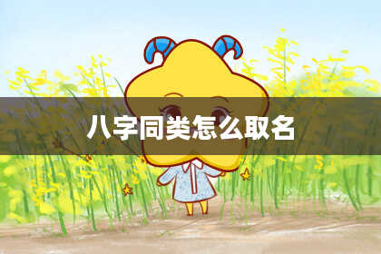 八字同类怎么取名