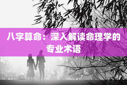 八字算命:深入解读命理学的专业术语