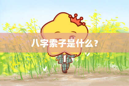 八字索子是什么?
