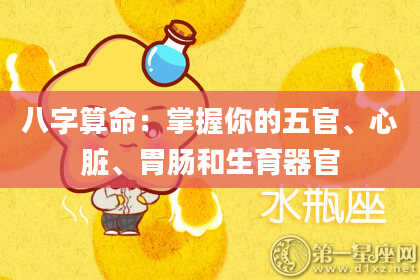 八字算命：掌握你的五官、心脏、胃肠和生育器官