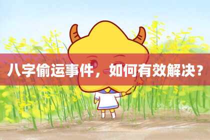 八字偷运事件，如何有效解决？