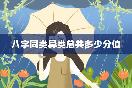 八字同类异类总共多少分值
