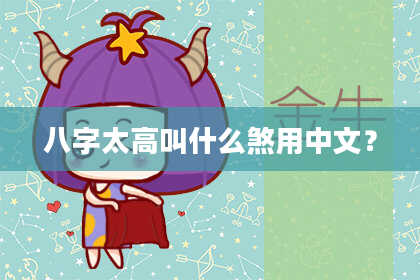 八字太高叫什么煞用中文？