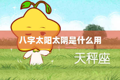 八字太阳太阴是什么用