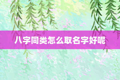 八字同类怎么取名字好呢