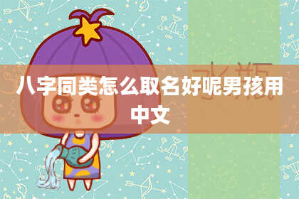 八字同类怎么取名好呢男孩用中文