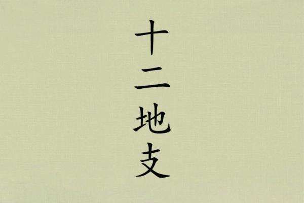 命好吃命：探寻美食背后的命理智慧与文化意义