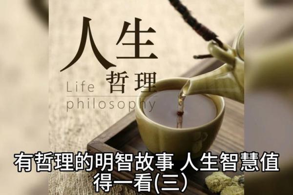 领导夸我命好，背后隐藏的智慧与哲理
