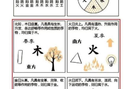 路边土命与合适命理的和谐相生之道