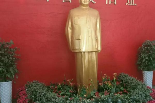 救人一命，菩萨心是何物？探寻无私奉献的伟大精神