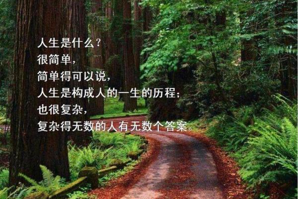 可惜都败给了命运：人生中的无奈与选择