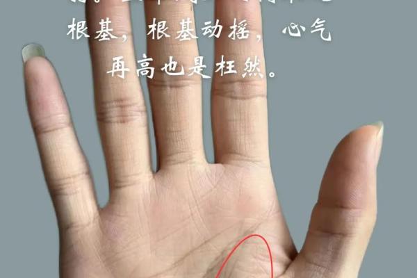 孔庙门前的命格解析：洞察人生的秘密与智慧