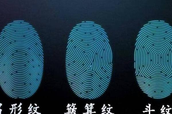女人的命运与双斗：解析右手的奥秘与影响