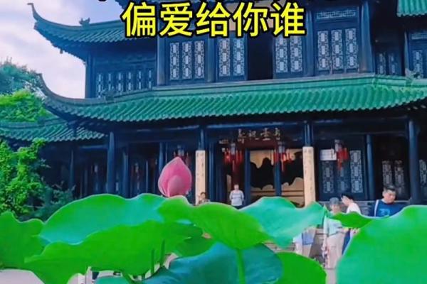零七年属猪的命运解析：如何拥抱生活中的幸运与挑战