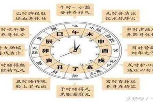卯辰五行命理解析：揭示生命本质与命运的奥秘