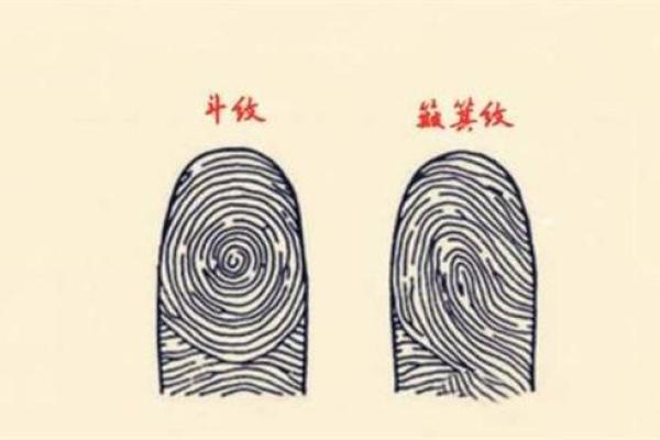 女人手指没有斗纹的命运解析：揭示隐藏的财富与智慧