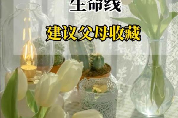 没有什么比生命更重要，让我们珍惜每一次呼吸