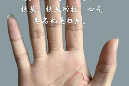 孔庙门前的命格解析：洞察人生的秘密与智慧
