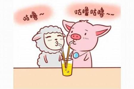 零七年属猪的命运解析：如何拥抱生活中的幸运与挑战