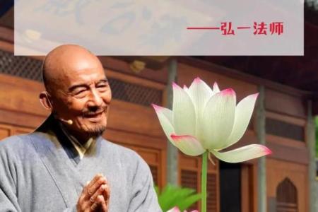 劳命奔波的生活哲学：追求与放下的智慧