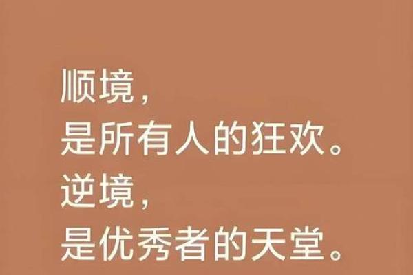 靠石头发财：命运与机遇的奇妙交织