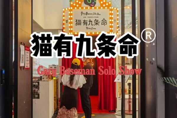 猫咪的九条命：奇特寓意与迷人故事
