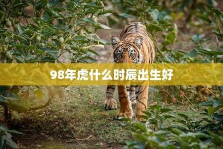 六九年七月初三出生的人命理解析与生活启示