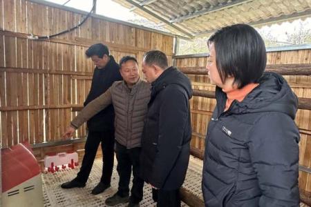 路旁土命：探寻命理背后的力量与智慧