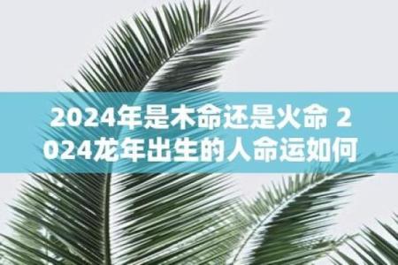 炉中火命人士如何选择适合的房号，提升居家运势