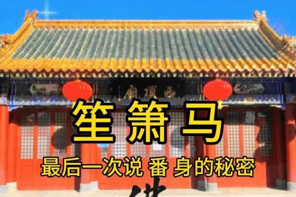 探寻女马78年7月4日的命运与人生智慧