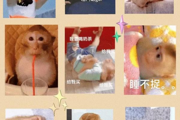 马喽的命也是命：探索生命的无奈与幽默