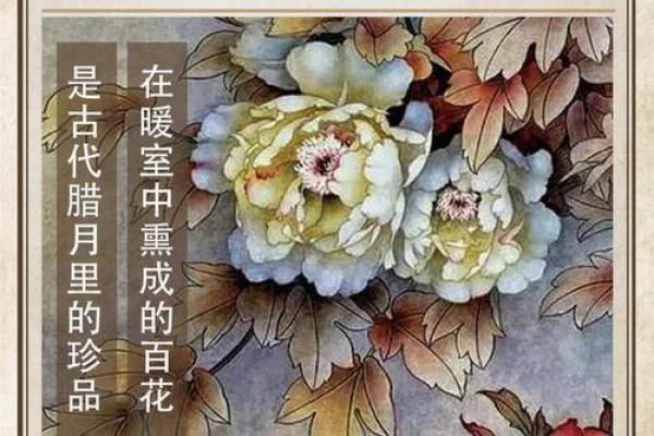 腊月初四的命运探秘：解读出生于冬季的独特人生轨迹