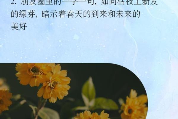 枯木逢春：揭示男命命理中的重生与希望之意