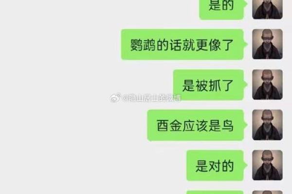 葵卯女命：解读她们的性格特征与命运走向